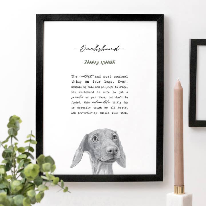 Dachshund A4 Print