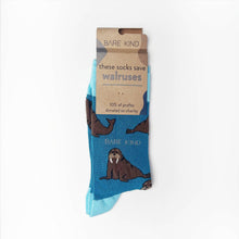 Walrus Bamboo Socks – Save the Walruses