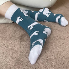 Polar Bear Bamboo Socks – Save the Polar Bears