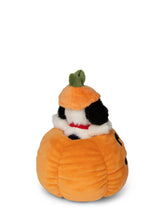Snoopy Halloween in Pumpkin