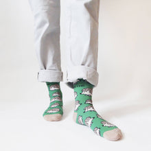 Hedgehog Bamboo Socks – Save the Hedgehogs
