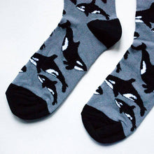 Orca Bamboo Socks – Save the Orcas