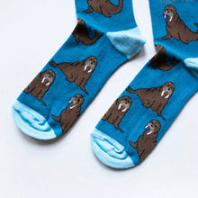 Walrus Bamboo Socks – Save the Walruses