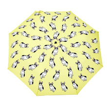 Original Duckhead Umbrella Coucou Suzette Collab Frenchie Yellow