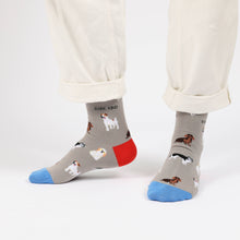 Dog Bamboo Socks – Grey