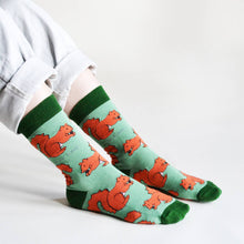 Red Squirrel Bamboo Socks – Save the Red Squirrels
