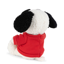 Snoopy Joe Cool