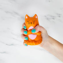 Meowditation Stress Toy