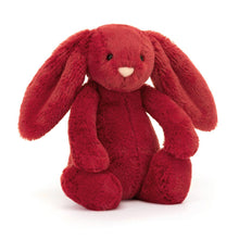 Bashful Bunny Cranberry Small
