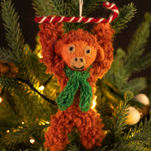Orangutan with Candy Cane