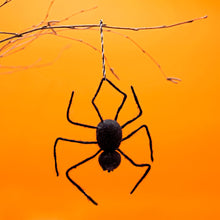 Halloween Spider