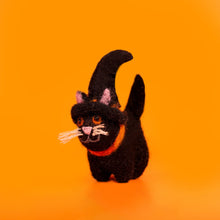 Black Cat in Witch's Hat