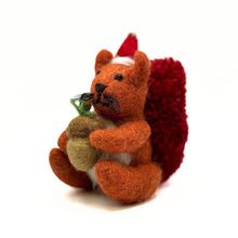 Red Squirrel with Acorn