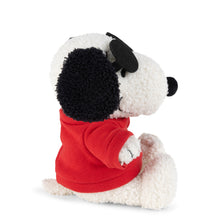 Snoopy Joe Cool