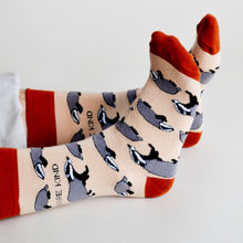 Badger Bamboo Socks – Save the Badgers