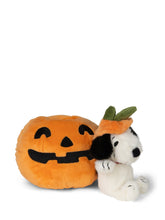 Snoopy Halloween in Pumpkin