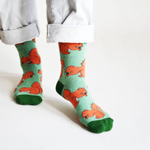 Red Squirrel Bamboo Socks – Save the Red Squirrels