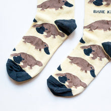 Platypus Bamboo Socks – Save the Platypuses