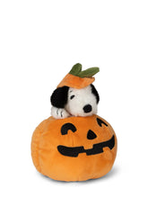 Snoopy Halloween in Pumpkin