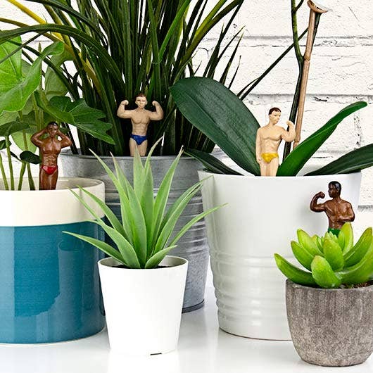 Mini Plant Pot Hunks