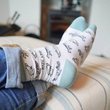 Cat Bamboo Socks – Gree