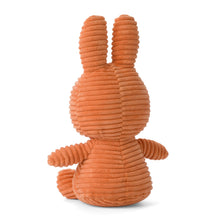 Miffy Corduroy Pumpkin