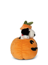 Snoopy Halloween in Pumpkin