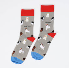 Dog Bamboo Socks – Grey