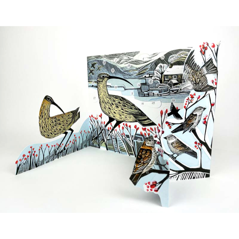 Curlew Christmas Advent Calendar