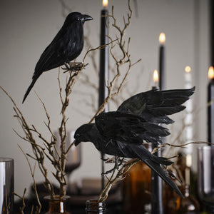 Clip on Crow Decorations