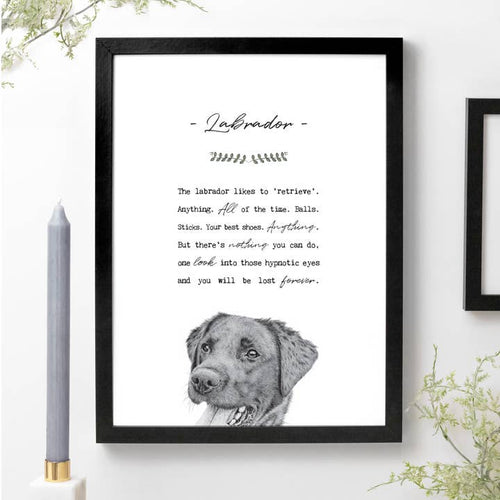 Labrador A4 Print