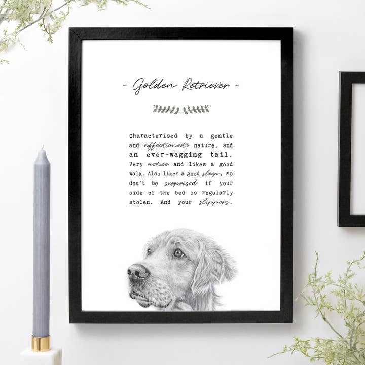 Golden Retriever A4 Print