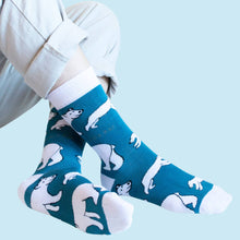 Polar Bear Bamboo Socks – Save the Polar Bears