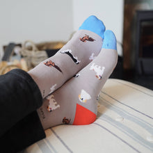 Dog Bamboo Socks – Grey