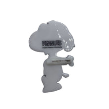 Peanuts Joe Cool Brooch - packaging