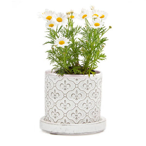 Big Balter Ceramic Pot with Saucer & Drainage Holes - White Fleur de Lis