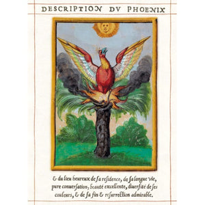 The British Library Card - A Phoenix