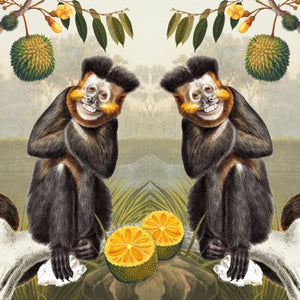 Natural History Museum Card - Capuchin Monkey