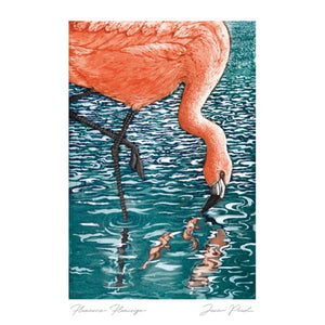 Art of Print Card - Flamenco Flamingo