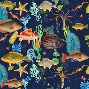 Natural History Museum Card - Coral Fish