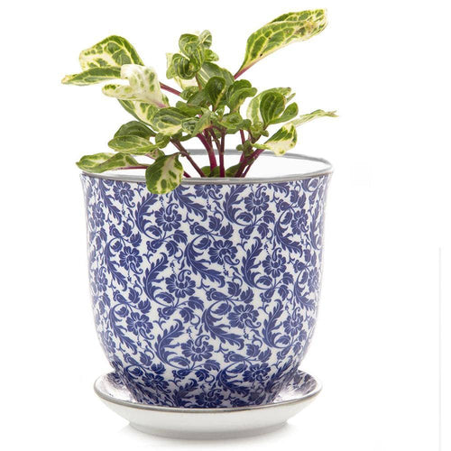 Liberte 4 - Ceramic Pot with Saucer & Drainage Holes - Blue Leaves