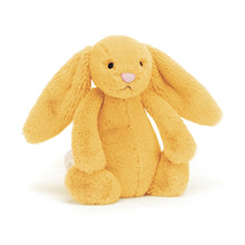 Bashful Bunny Sunshine