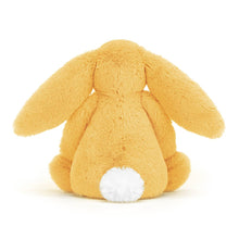 Bashful Bunny Sunshine