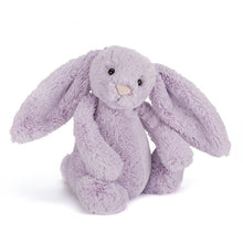 Bashful Bunny Hyacinth Small