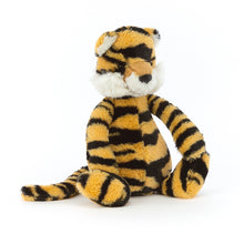 Bashful Tiger