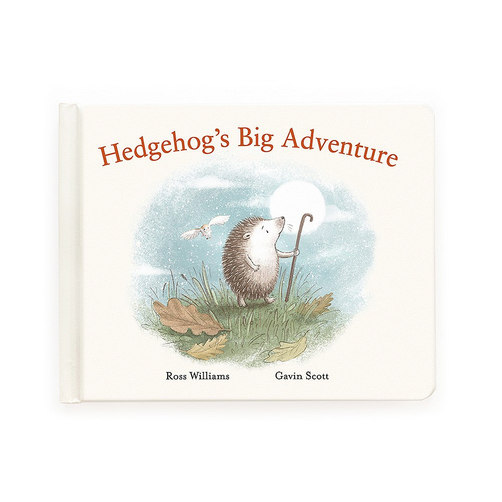 Hedgehog Big Adventure Book