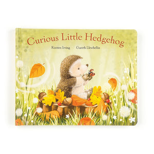 Curious Little Hedgehog Book