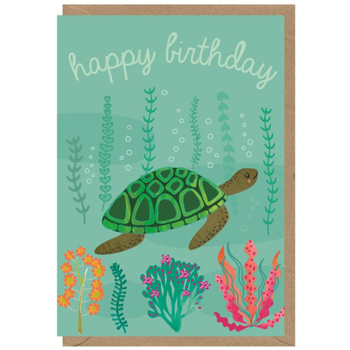 Happy Birthday Turtle