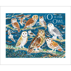 Emily Sutton O is for Owl from Art Angels