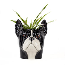 French Bulldog Black & White Pencil Pot